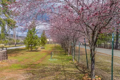 19500 Jesus Maria Road, Mountain Ranch, CA 95246 - Photo 59