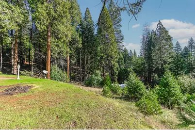 27095 Antelope Drive, Pioneer, CA 95666 - Photo 25