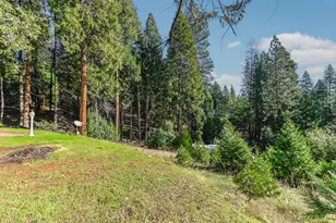 27095 Antelope Dr, Pioneer, CA 95666 - Photo 25