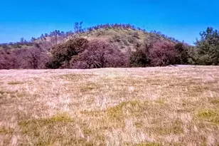 618 Covey Ln, Valley Springs, CA 95252 - Photo 9