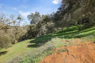 7680 Middle Bar Rd, Jackson, CA 95642 - Photo 51