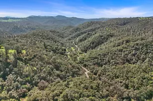 7680 Middle Bar Rd, Jackson, CA 95642 - Photo 5