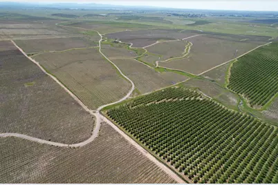 17559 E Liberty Road, Clements, CA 95227 - Photo 7