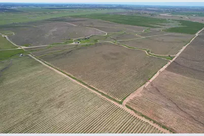 17559 E Liberty Road, Clements, CA 95227 - Photo 3