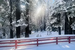 41080 Putt Rd, Alta, CA 95701 - Photo 9