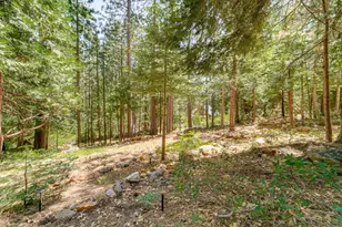 41080 Putt Rd, Alta, CA 95701 - Photo 17