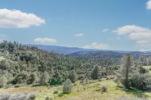 1218 Laurel Ln, Murphys, CA 95247 - Photo 5