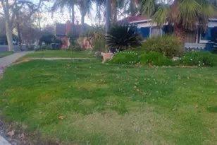 1306 Yale Ave, Stockton, CA 95203 - Photo 3