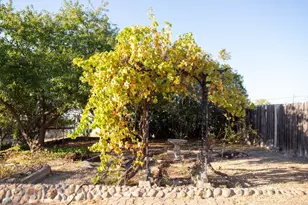 2404 Quiver Dr, Ione, CA 95640 - Photo 9