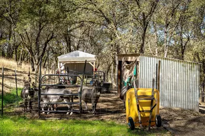 24090 Restive Way, Grass Valley, CA 95949 - Photo 73