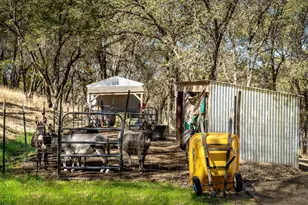 24090 Restive Way, Grass Valley, CA 95949 - Photo 73