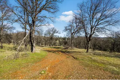 12463 Wolf Road, Nevada City, CA 95949 - Photo 13