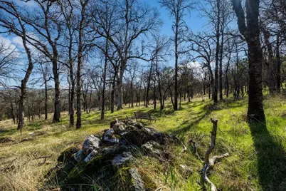 12463 Wolf Road, Nevada City, CA 95949 - Photo 11