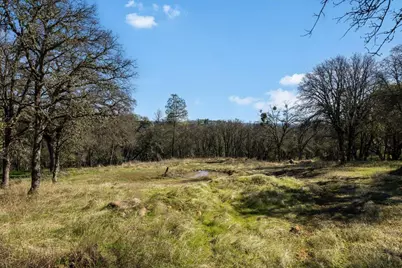 12463 Wolf Road, Nevada City, CA 95949 - Photo 17