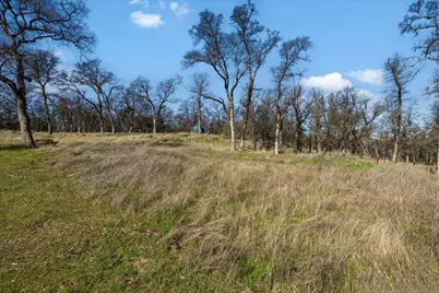 12463 Wolf Road, Nevada City, CA 95949 - Photo 7