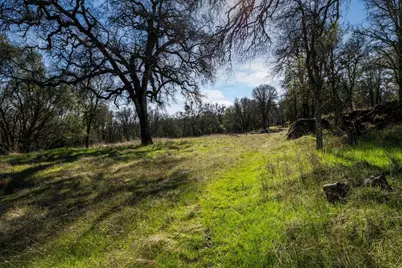 12463 Wolf Road, Nevada City, CA 95949 - Photo 19