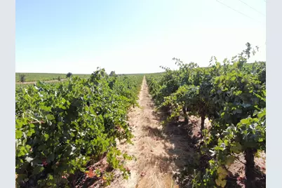 30222 N Mackville Road, Acampo, CA 95220 - Photo 9