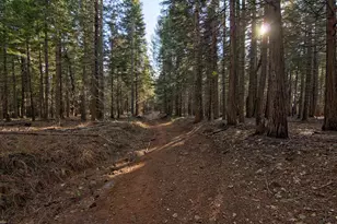 680 Sugar Pine Rd, Alta, CA 95701 - Photo 1