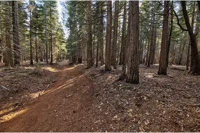 680 Sugar Pine Road, Alta, CA 95701 - Photo 9