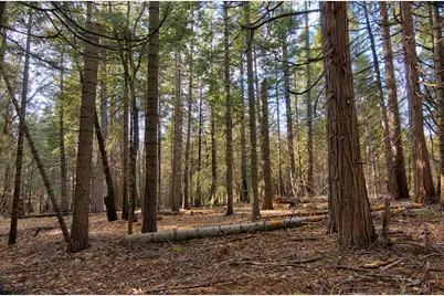 680 Sugar Pine Road, Alta, CA 95701 - Photo 3