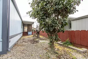 American Ave, Hilmar, CA 95324 - Photo 33