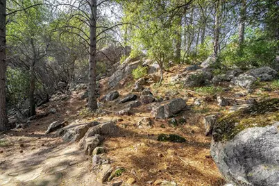 3610 Sugar View Road, Meadow Vista, CA 95722 - Photo 53