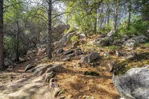 3610 Sugar View Rd, Meadow Vista, CA 95722 - Photo 53