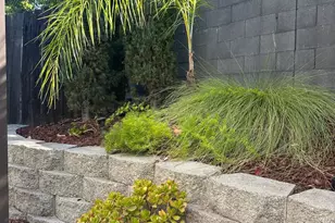 2209 Coryton Ln, Roseville, CA 95747 - Photo 25