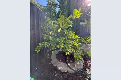 2209 Coryton Lane, Roseville, CA 95747 - Photo 23