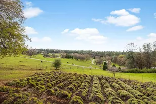 4795 Woodland Dr, Placerville, CA 95667 - Photo 55