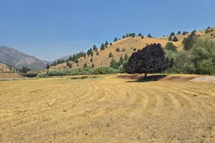 4204 State Hwy 263, Yreka, CA 96097 - Photo 53