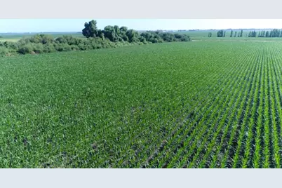 0 River Road, Courtland, CA 95615 - Photo 17