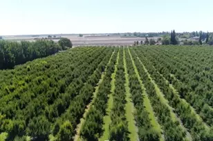 0 River Rd, Courtland, CA 95615 - Photo 1