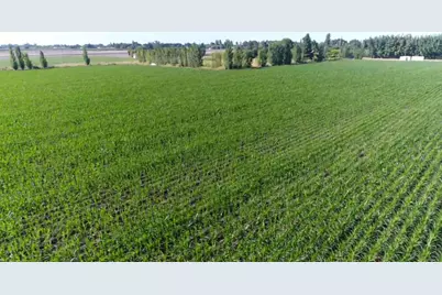 0 River Road, Courtland, CA 95615 - Photo 19