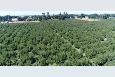 0 River Road, Courtland, CA 95615 - Photo 7