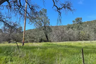 4223 Penon Blanco Rd, Coulterville, CA 95311 - Photo 3