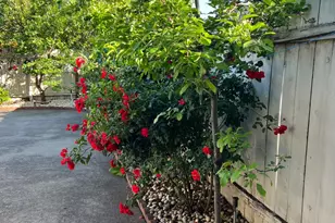 2260 Apple Orchard Ct, Rancho Cordova, CA 95670 - Photo 25