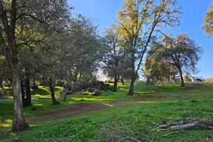 3080 Sand Ridge Rd, Placerville, CA 95667 - Photo 23