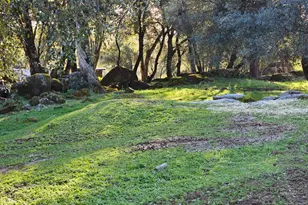 3080 Sand Ridge Rd, Placerville, CA 95667 - Photo 33