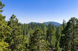 24033 Pine Cone Rd, Twain Harte, CA 95383 - Photo 79