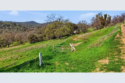 1892 Pinto Drive, Angels Camp, CA 95222 - Photo 23