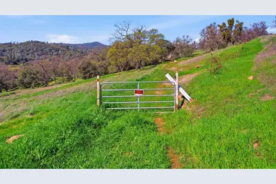 1892 Pinto Drive, Angels Camp, CA 95222 - Photo 27