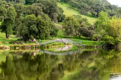 265 Grapevine Ravine Lane, Newcastle, CA 95658 - Photo 69