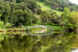 265 Grapevine Ravine Ln, Newcastle, CA 95658 - Photo 69