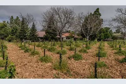 10801 Shenandoah Road, Plymouth, CA 95669 - Photo 39