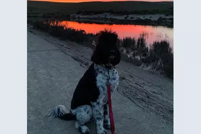 4363 Golf Drive, Livermore, CA 94551 - Photo 37