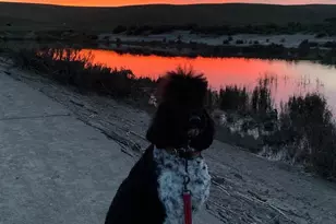 4363 Golf Dr, Livermore, CA 94551 - Photo 37