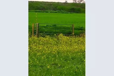 11315 Childs Avenue, Le Grand, CA 95333 - Photo 19