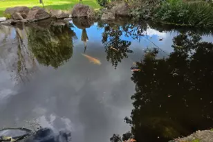 [Address not provided], Galt, CA 95632 - Photo 27