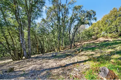 1 Cuckoo Court, Applegate, CA 95703 - Photo 15